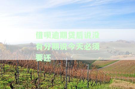 借呗逾期还了剩下分期没到时间要还吗，借呗逾期后已经还款，剩余未到期分期还需要继续偿还吗？