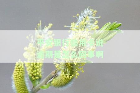 有平安信用卡逾期很长时间的吗，如何处理长期逾期的平安信用卡债务？