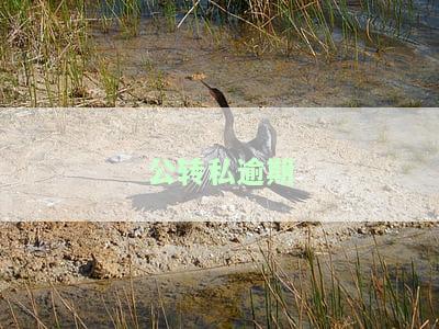 公转私如果有问题多久退回，公转私出现问题，退款时间需要多长时间？