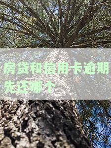 房贷和信用卡逾期先还哪个合适，房贷还是信用卡逾期？如何判断优先偿还哪一个？