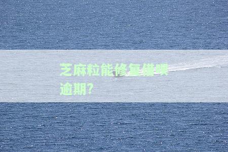 芝麻粒能修复借呗逾期记录：修复后多久可用？
