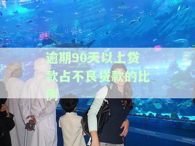 逾期90天以上贷款分类，逾期90天以上贷款：风险分类与管理策略