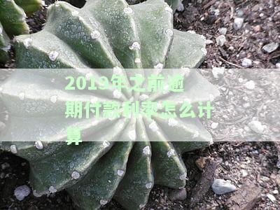 2019年之前逾期付款利率怎么计算出来的，详解2019年前逾期付款利率的计算方法