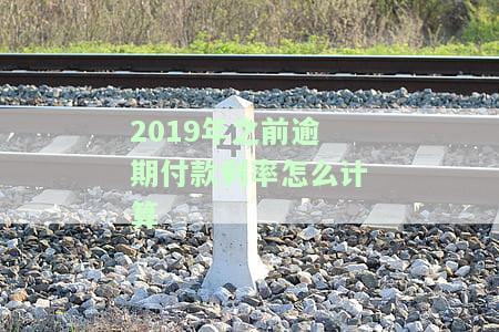 2019年逾期贷款利率，2019年逾期贷款利率：揭示逾期还款的代价
