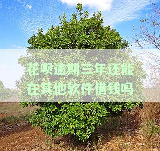 花呗逾期三年还能在其他软件借钱吗-花呗逾期三年还能在其他软件借钱吗安全吗