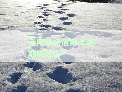 贵阳银行信用卡逾期被起诉案例，警惕！贵阳银行信用卡逾期或导致法律诉讼风险