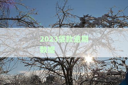 ：2020逾期数据报告，涵全年及最新情况