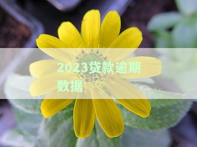 2023贷款逾期数据-2020贷款逾期人数