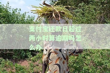 支付宝还款日超过两小时算逾期吗怎么办-支付宝还款日超过两小时算逾期吗怎么办理