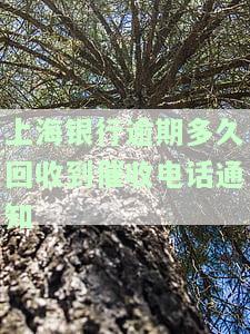 上海银行贷款逾期多久会要求全额还款？影响信用吗？