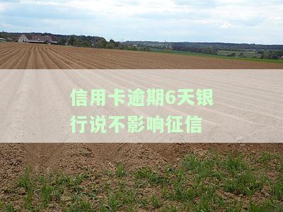 信用卡逾期6天银行说不影响征信怎么办，信用卡逾期6天，银行称不影响征信，真的吗？