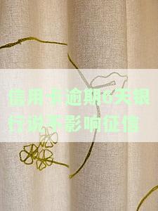 信用卡10元逾期6天的后果及解决办法