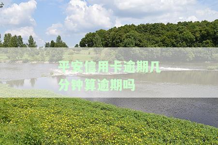平安信用卡逾期2天会否影响征信？不良记录如何避免？