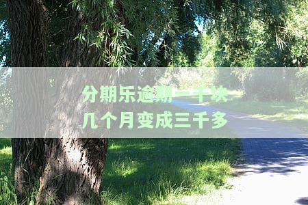 分期乐逾期一千多变两千多算高利贷？借款四千逾期两万，五百多天仍需还本金一万多元，二百多天逾期四千元