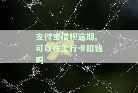 借呗逾期支付宝收的钱能转出来吗，关于借呗逾期后，支付宝能否转账的问题解答