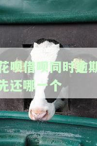 花呗与借呗逾期不还的影响及是否影响银行征信？