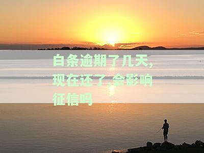 白条逾期几天后还款，会影响征信吗？解决办法是什么？