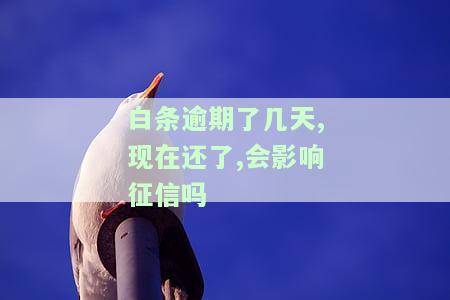 白条逾期后还款，能否恢复正常使用？