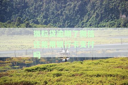 微粒贷逾期能否继续使用微信钱包进行支付和还款？