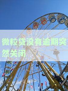 微粒贷无缘无故关闭：原因解析与解决办法