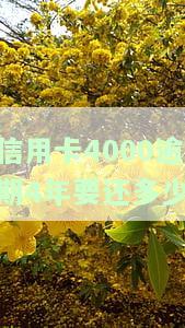 信用卡4000逾期4年要还多少-信用卡4000逾期4年要还多少利息