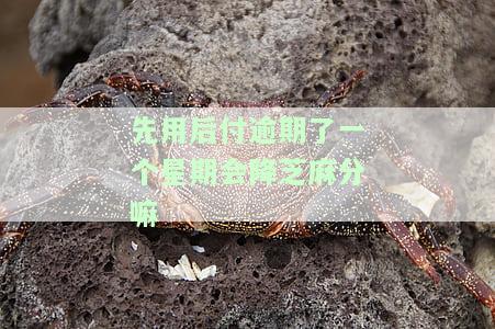 先用后付逾期还款解决方案：如何解决还款难题？