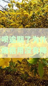 借呗逾期后，为何芝麻信用额度未降低？逾期一天如何修复芝麻粒？