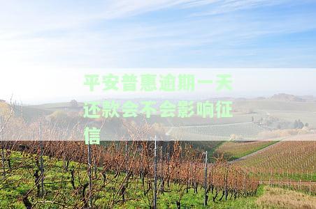 平安普还款逾期一天也上征信吗，平安普：还款逾期一天是否会上征信？