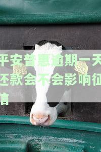 平安普惠逾期一天还款会不会影响征信