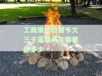 工商银行信用卡欠三千逾期两年需要还多少-工商银行信用卡欠三千逾期两年需要还多少钱