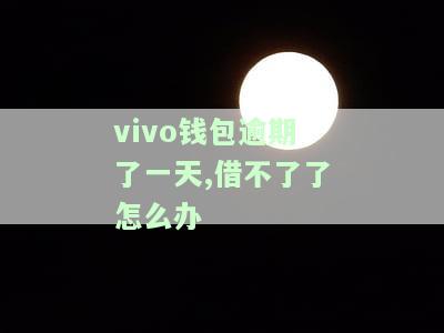 vivo钱包逾期一天，借款受阻，如何解决？