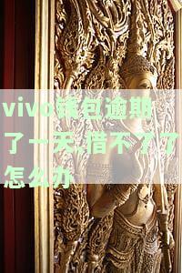 vivo钱包逾期4天怎么样了把钱冲进去自己会扣吗，关于vivo钱包逾期4天的情况，充钱后会自动扣除吗？