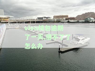 Vovi钱包逾期多长时间？逾期多久会通知家人朋友？逾期超60天还款后能否继续使用？