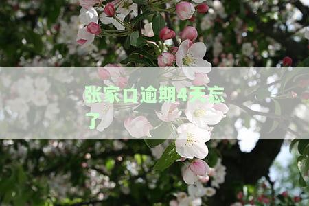 张家口逾期4天忘了