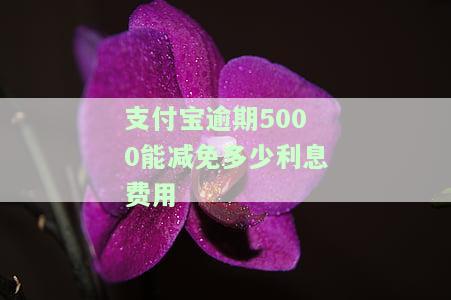 支付宝5000逾期一个月利息加罚息一个多少元，支付宝逾期一个月，5000元的利息和罚息加起来要多少钱？
