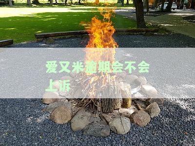 爱又米逾期很久：2020年逾期情况及影响