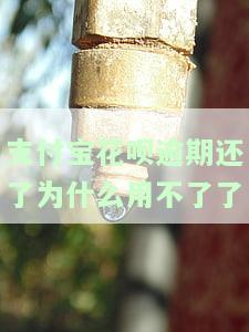 支付宝花呗逾期还了为什么用不了了怎么办，解决支付宝花呗逾期还款后无法使用的问题