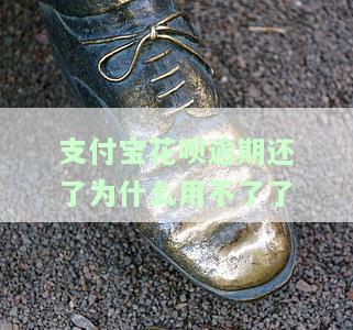 支付宝花呗逾期还了为什么用不了了