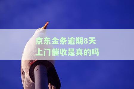 京东金条借款逾期后上门催收是否正常？