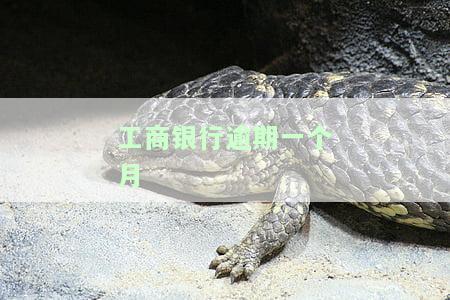 工商银行逾期一个月-工商银行逾期一个月大概需要多还多少