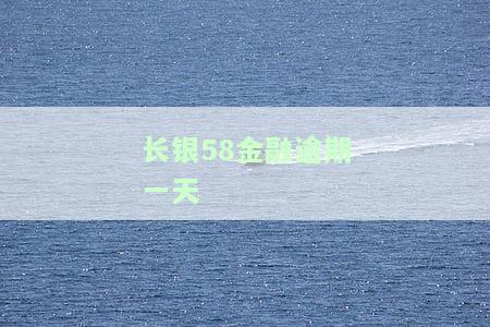 长银58金融逾期一天会有什么后果？