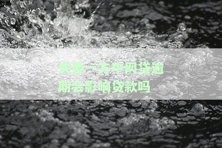 夫妻一方中网贷逾期会影响贷款吗，网贷逾期会影响配偶的贷款申请吗？答案在这里！
