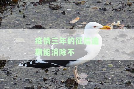 疫情三年的征信逾期能消除不，疫情三年征信逾期能否被消除？
