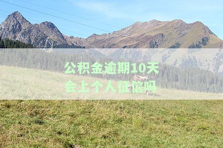 住房公积金逾期几天会影响征信？晚还几天算逾期，如何恢复信用？