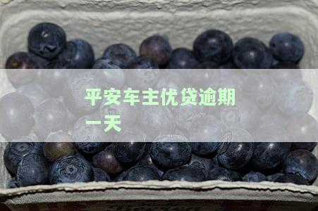 平安车主优贷逾期一天上征信吗，平安车主优贷：逾期一天是否会上征信？