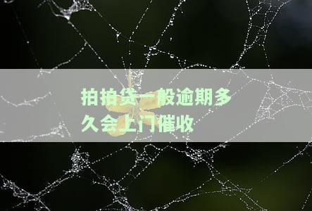 拍拍贷逾期多久会上门催收？联系电话是多少？
