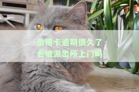 信用卡逾期很久了会被上门吗知乎，信用卡逾期很久，会遭上门催收吗？——知乎上的观点解析