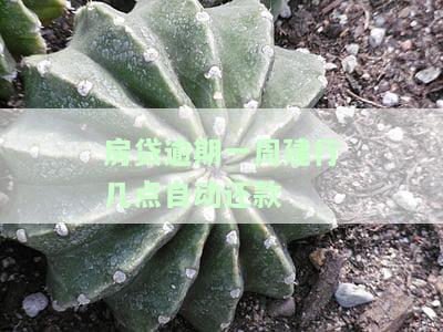 建行房贷逾期一天还了银行什么时候扣款，如何处理建行房贷逾期一天的情况：银行扣款时间解析