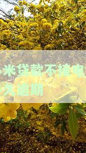 小米贷款逾期：紧急联系人被电话催收，如何处理？