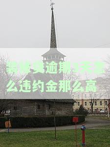 装修贷逾期3天怎么违约金那么高-装修贷逾期3天怎么违约金那么高呢